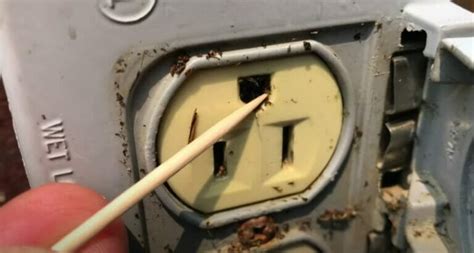 electrical outlet bugs